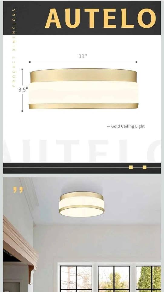 AUTELO Gold Ceiling Light, Frosted Glass Flush Mount - photo 4