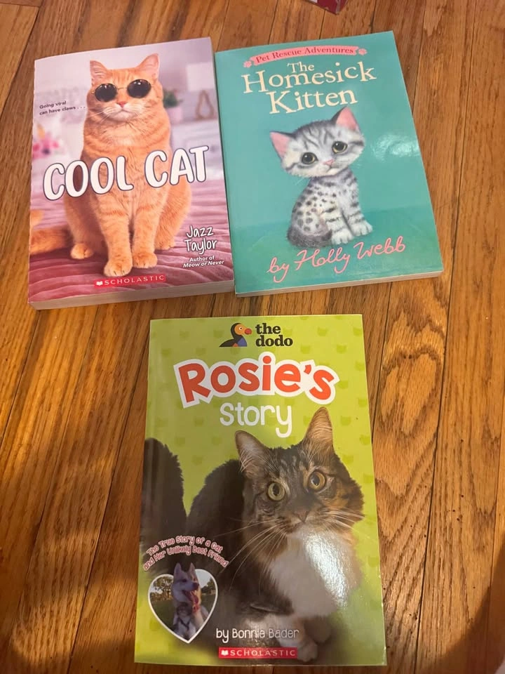 Chapter book lot