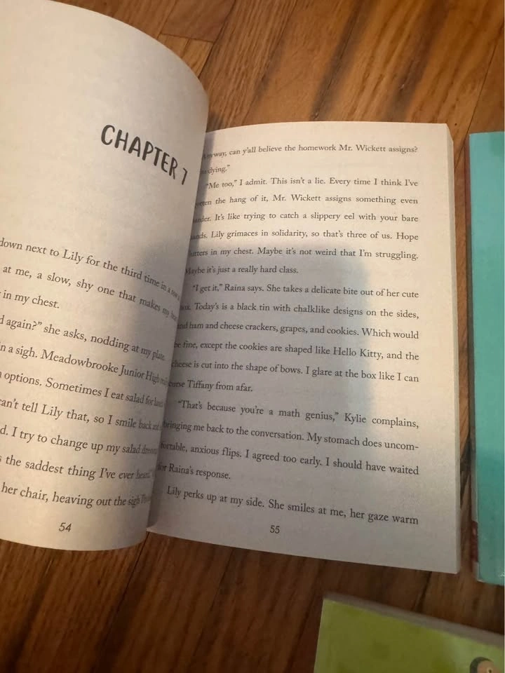 Chapter book lot - photo 2