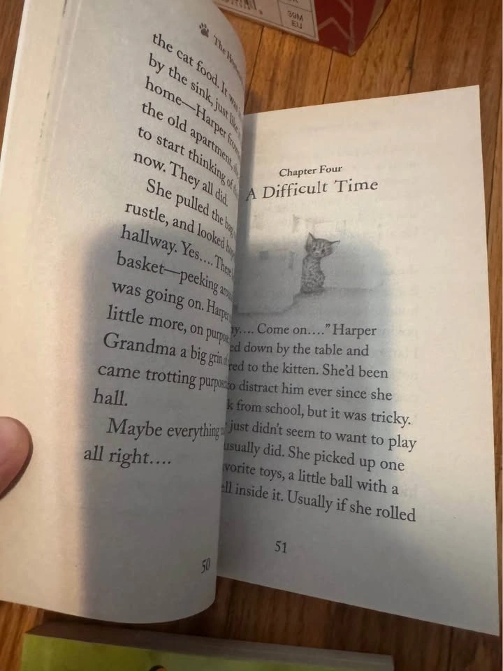 Chapter book lot - photo 3