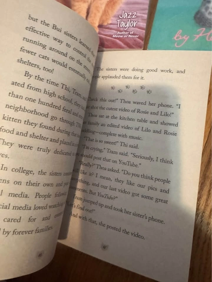Chapter book lot - photo 4