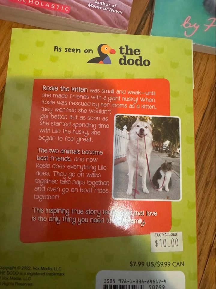 Chapter book lot - photo 5