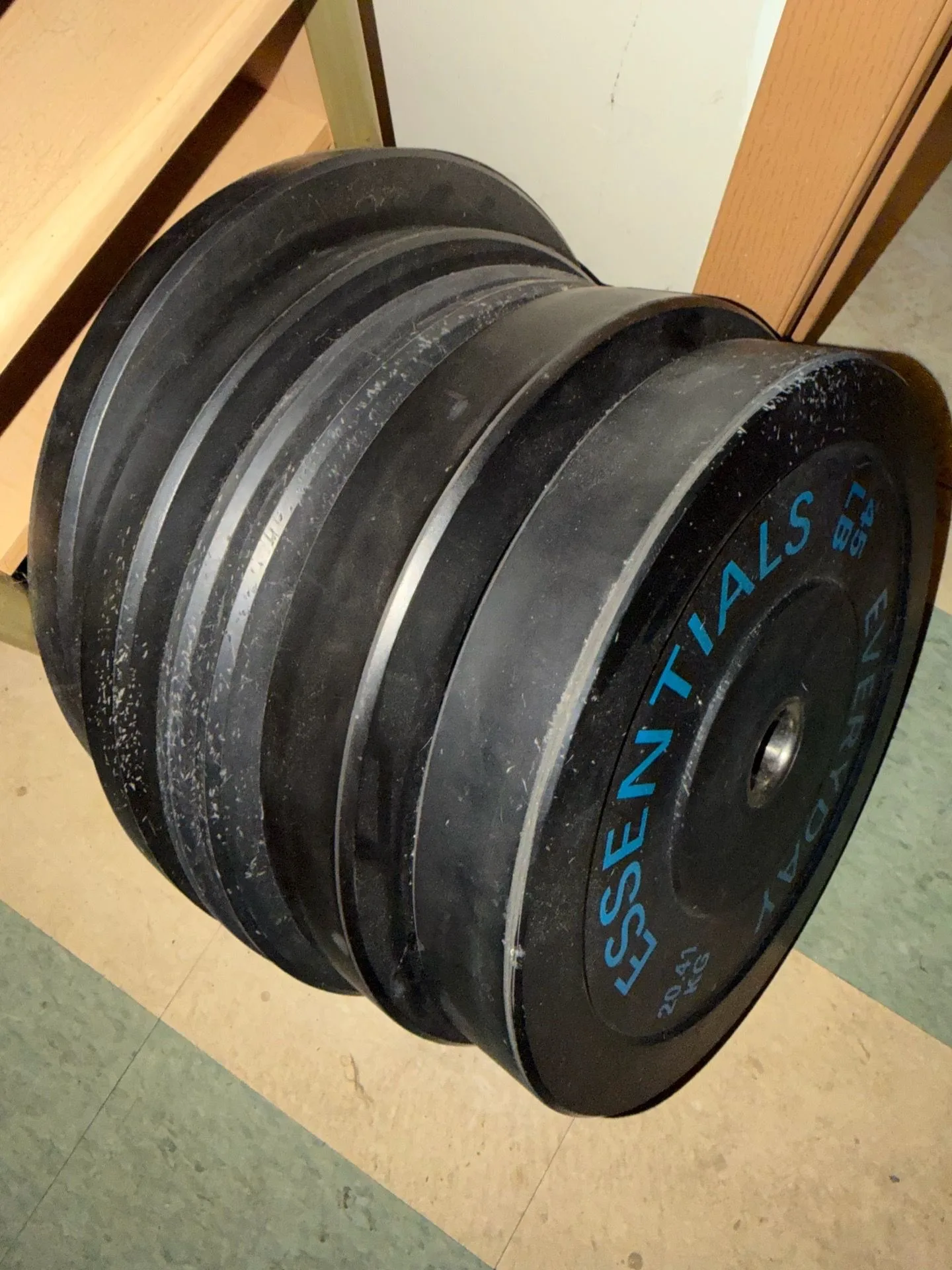 Everyday Essentials Black Weight Plates