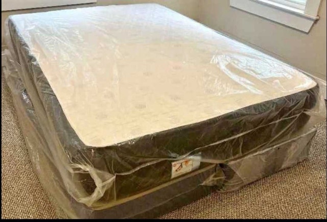 Sealy Mattress - Queen Size