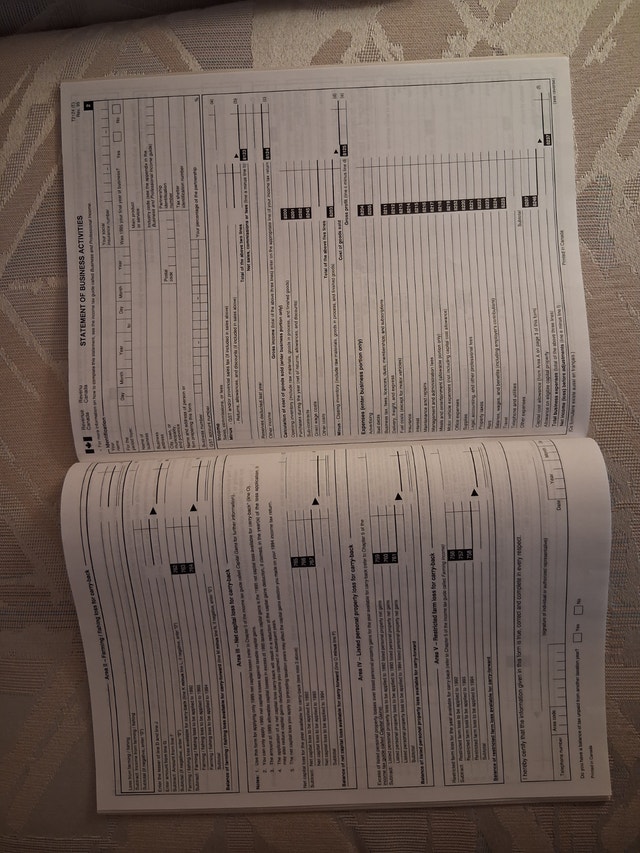 1995 Revenue Canada Business & Professional Income Tax Guide - photo 3