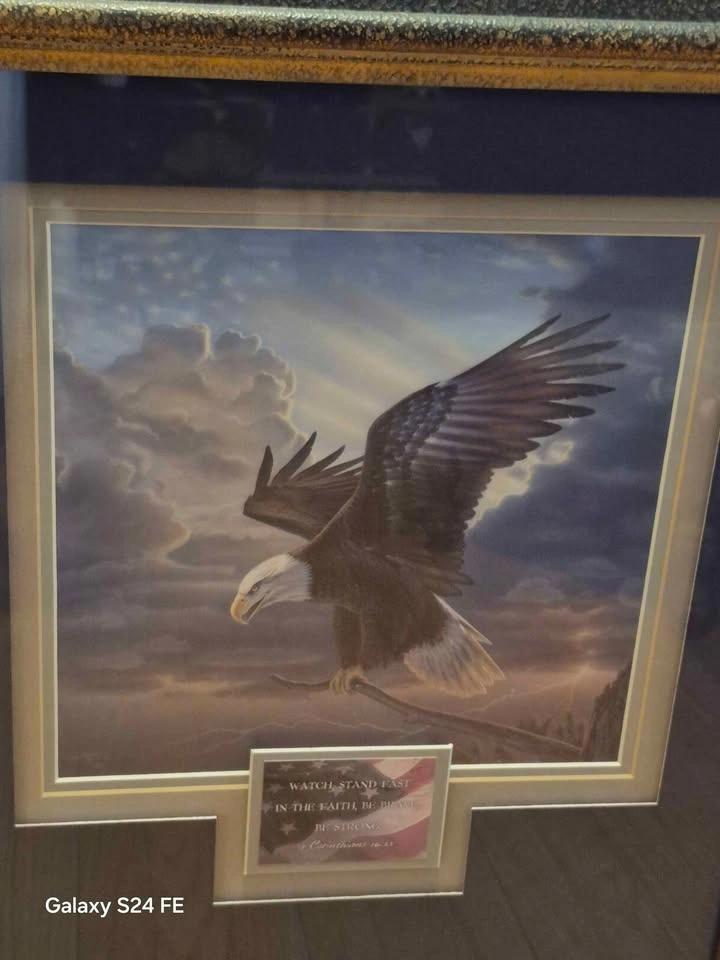 Framed Bald Eagle Art with 1 Corinthians 16:13 Verse - photo 2