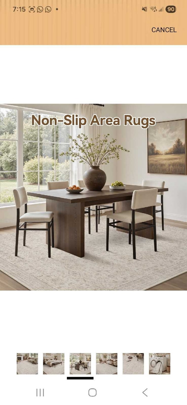 New Area Rug 6x9 - photo 3
