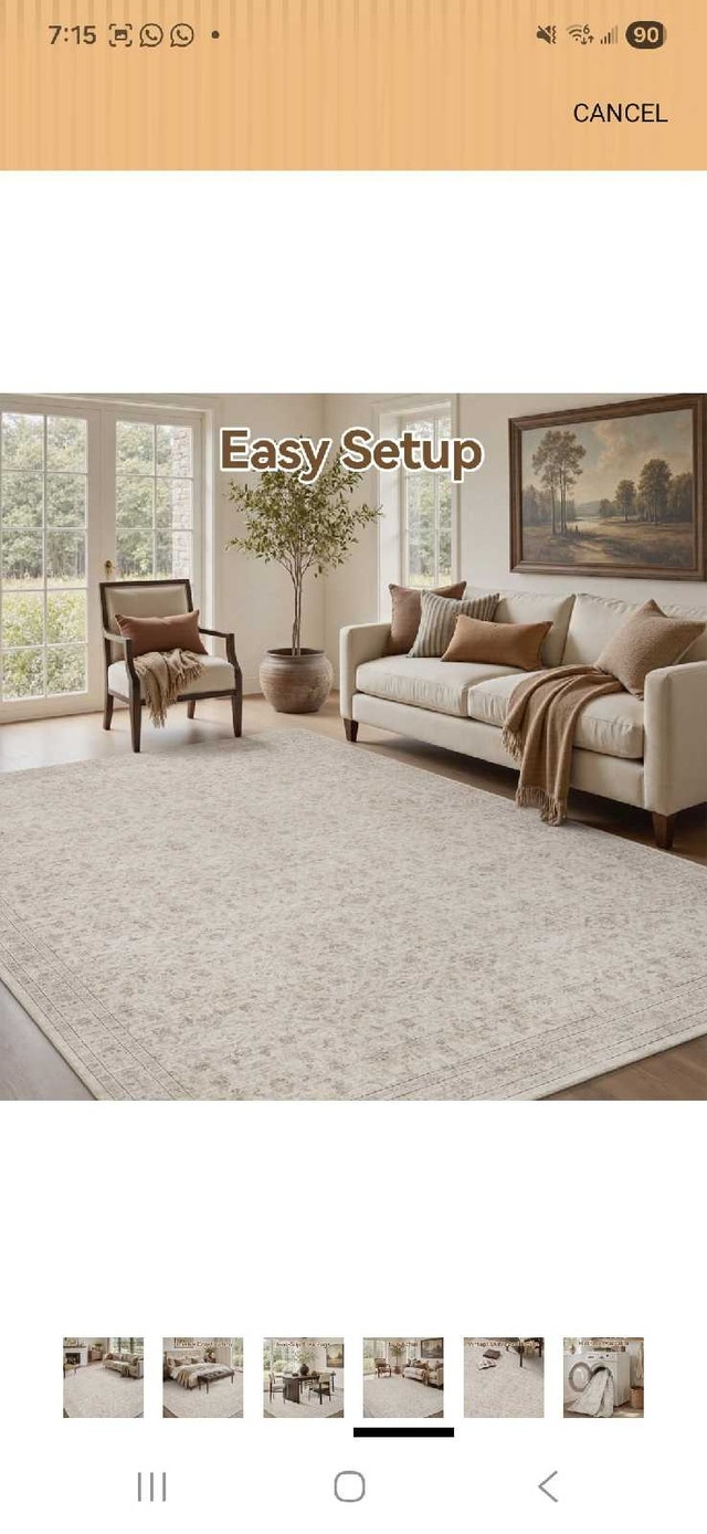 New Area Rug 6x9 - photo 4