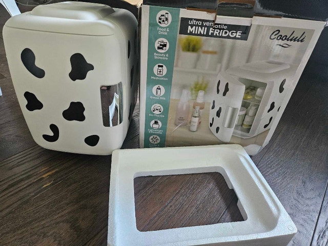 Cooluli Mini Fridge