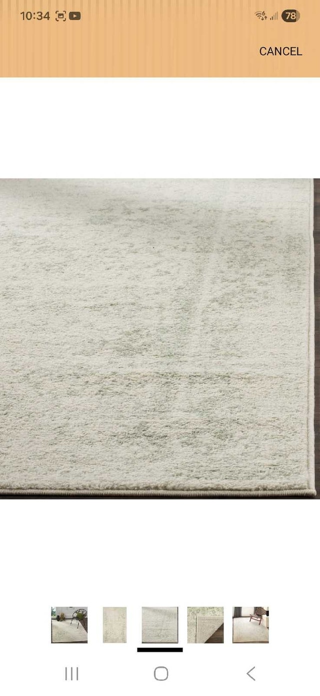 Safavieh Area Rug 5'1" x 7'6" Oriental Ivory/Sage - photo 5