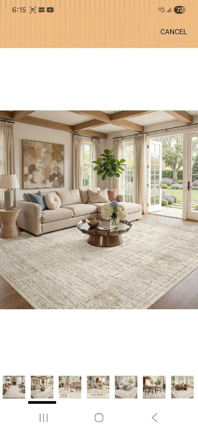 10x12 Area Rug Living Room - photo 2
