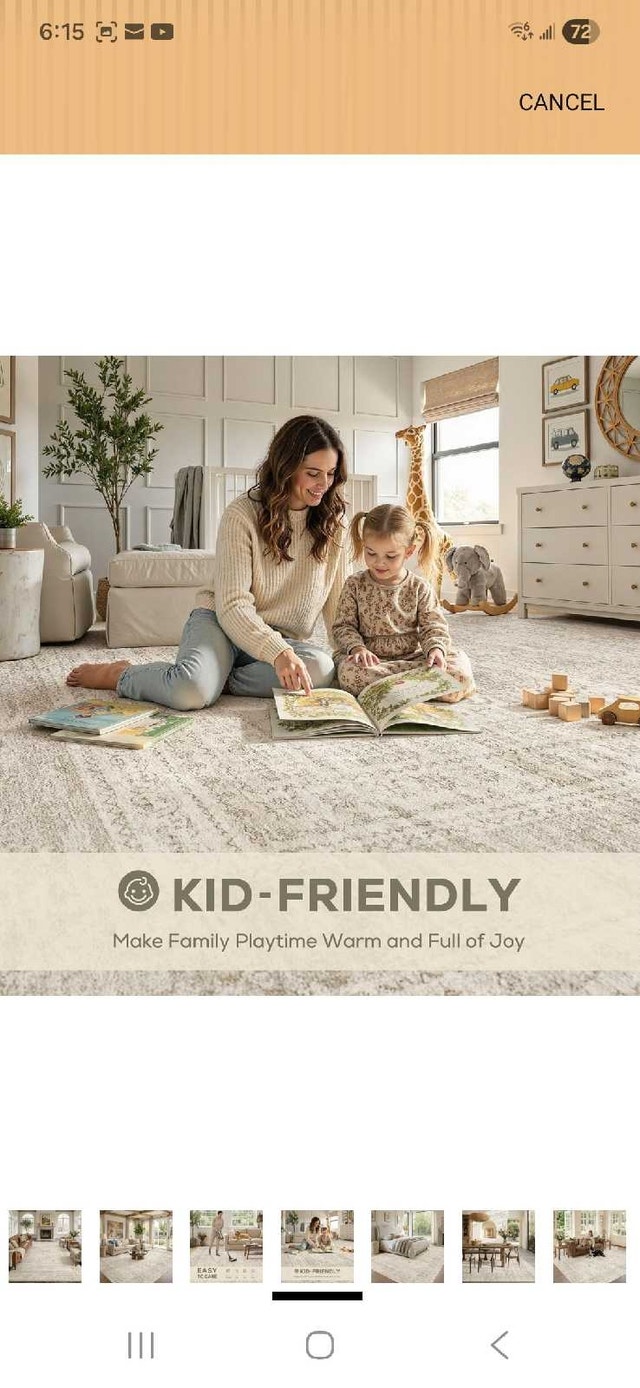10x12 Area Rug Living Room - photo 4