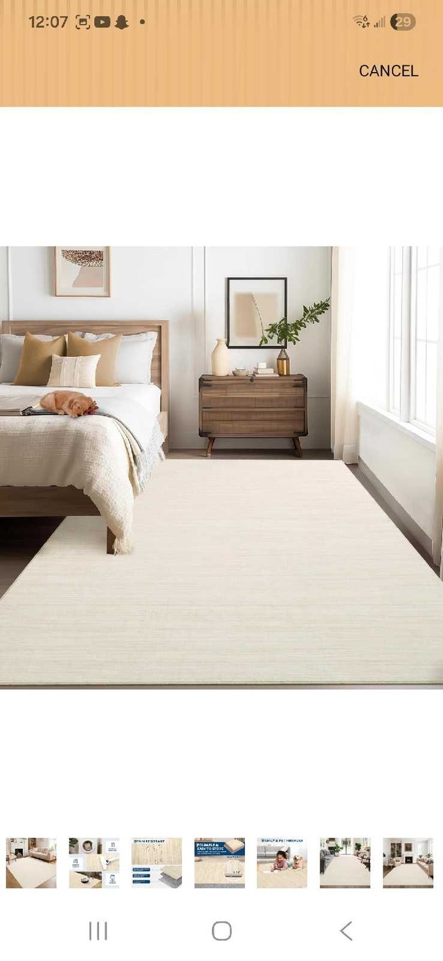 8x10 New Rug - photo 2