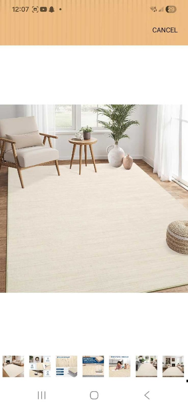 8x10 New Rug - photo 3
