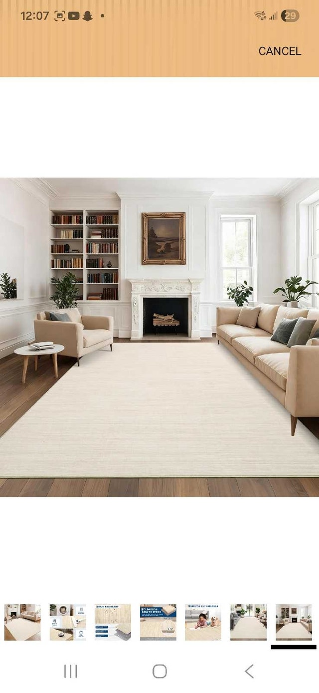 8x10 New Rug - photo 4