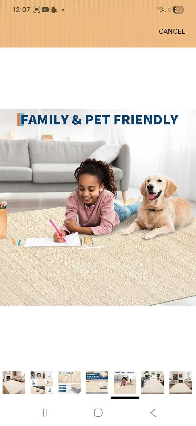 8x10 New Rug - photo 5