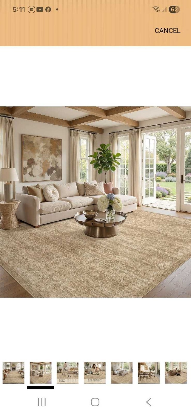 10x12 Area Rug New
