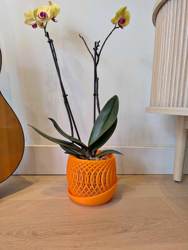 Orchid pot