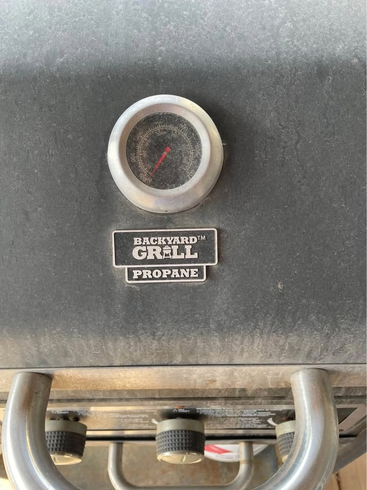 Propane and Charcoal Barbeque - photo 2