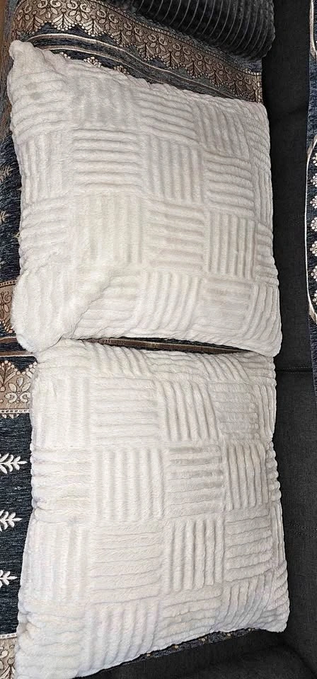 Two Sofa Pillows
