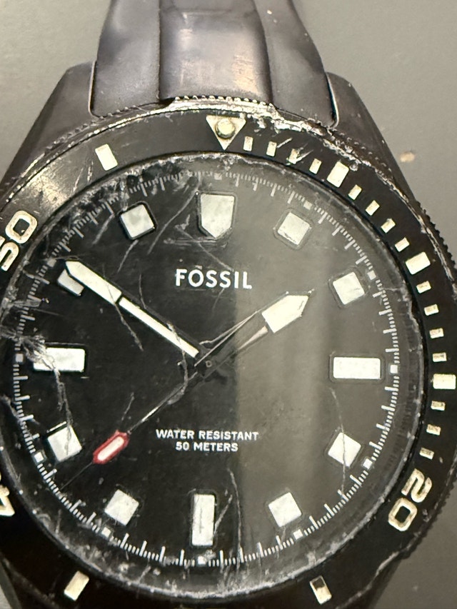 Fossil Watch