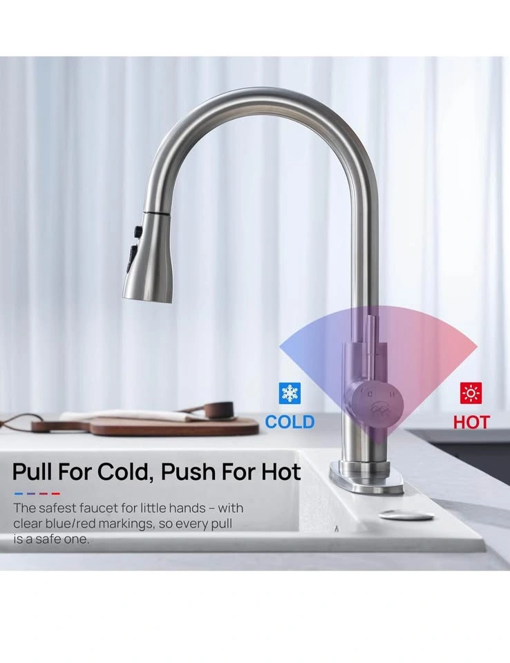 Kitchen Faucet with Pull Down Sprayer - photo 3