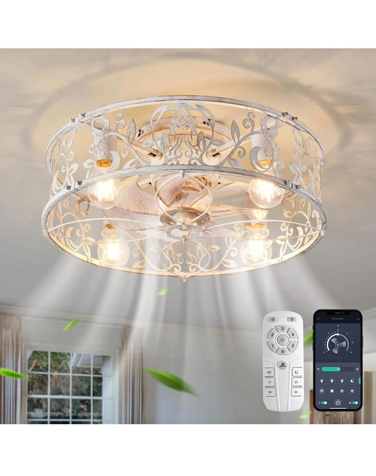 Garwarm Caged Ceiling Fan with Light - 20 Inch