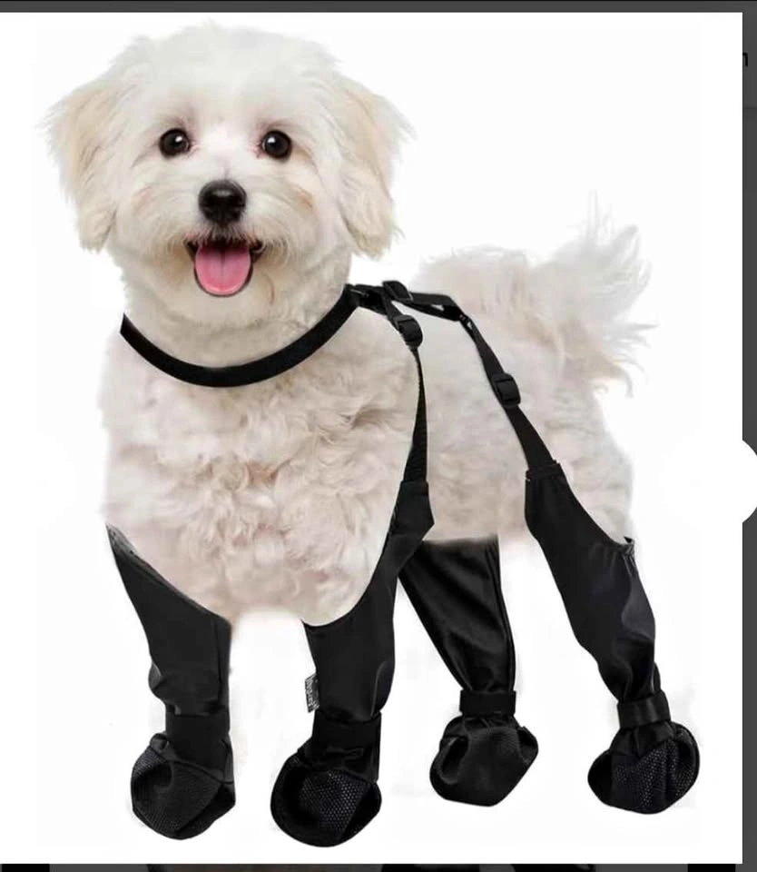 Dog Boots with Suspenders (L) New