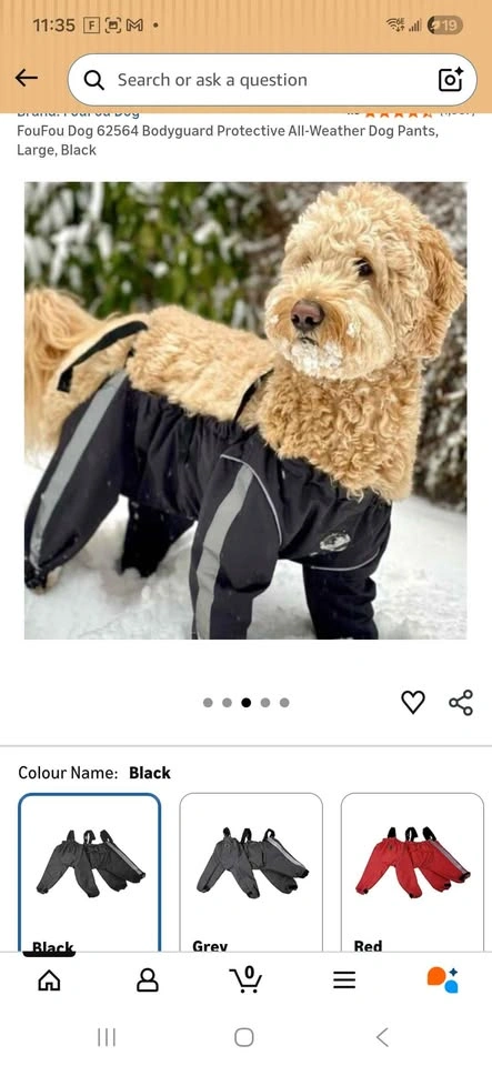 Black Protective Dog Pants (L) NEW - photo 3