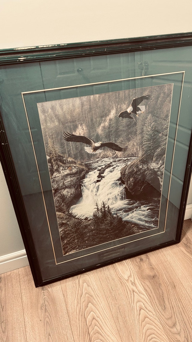 Framed Eagle & Waterfall Print – 33” x 43”