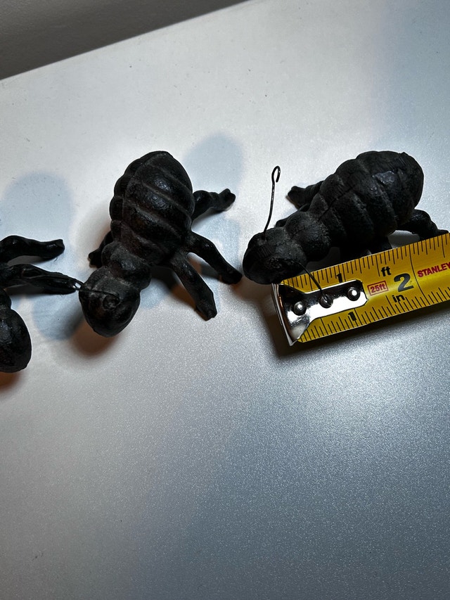 Cast Iron Ant Figurines - Set of 3 - photo 2