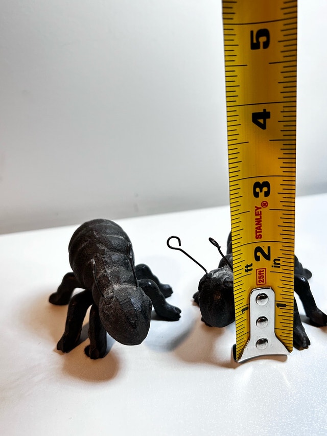 Cast Iron Ant Figurines - Set of 3 - photo 3