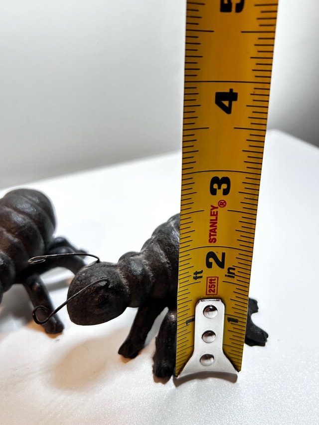 Cast Iron Ants - photo 3