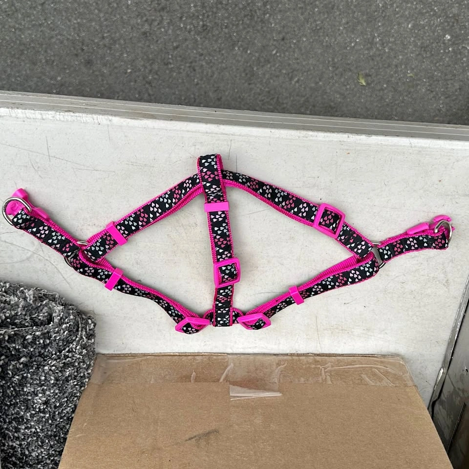 Medium Dog Harness