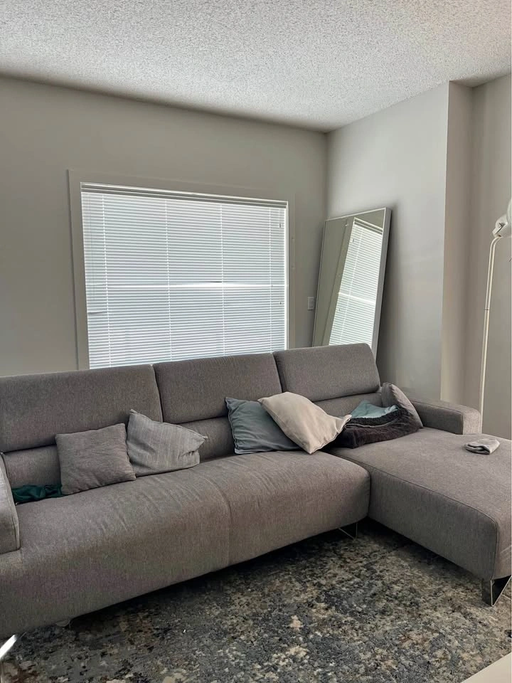 Grey Sectional Couch & living room furniture