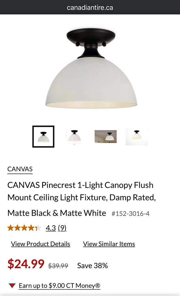 CANVAS Pinecrest 1-Light Flush Mount Ceiling Light