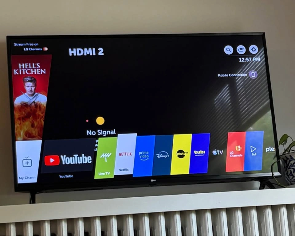 49” LG Smart TV - photo 3