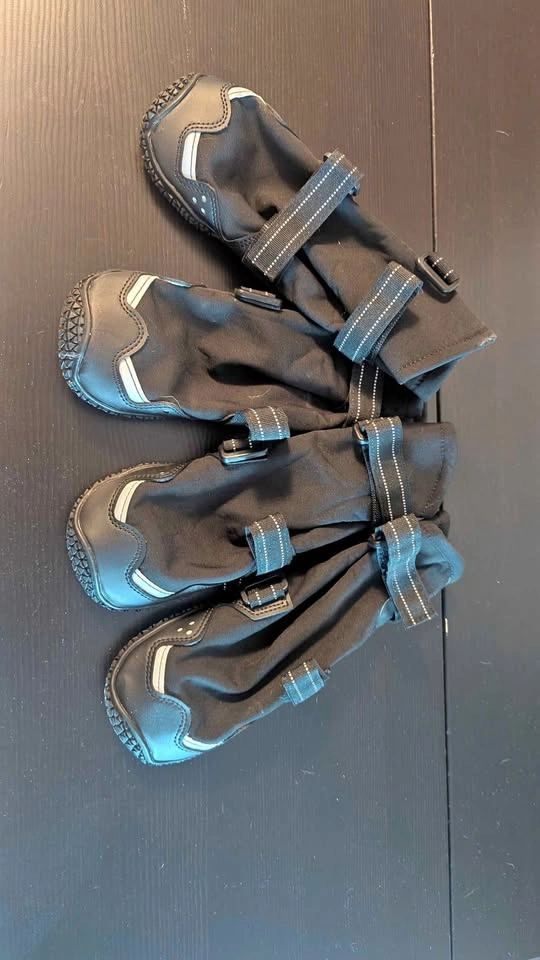 Black Dog Boots Set of 4, Size 7