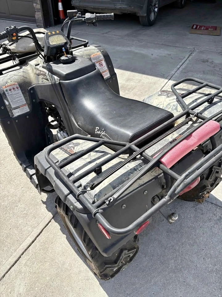 2007 Baja Wilderness 250 4x2 ATV