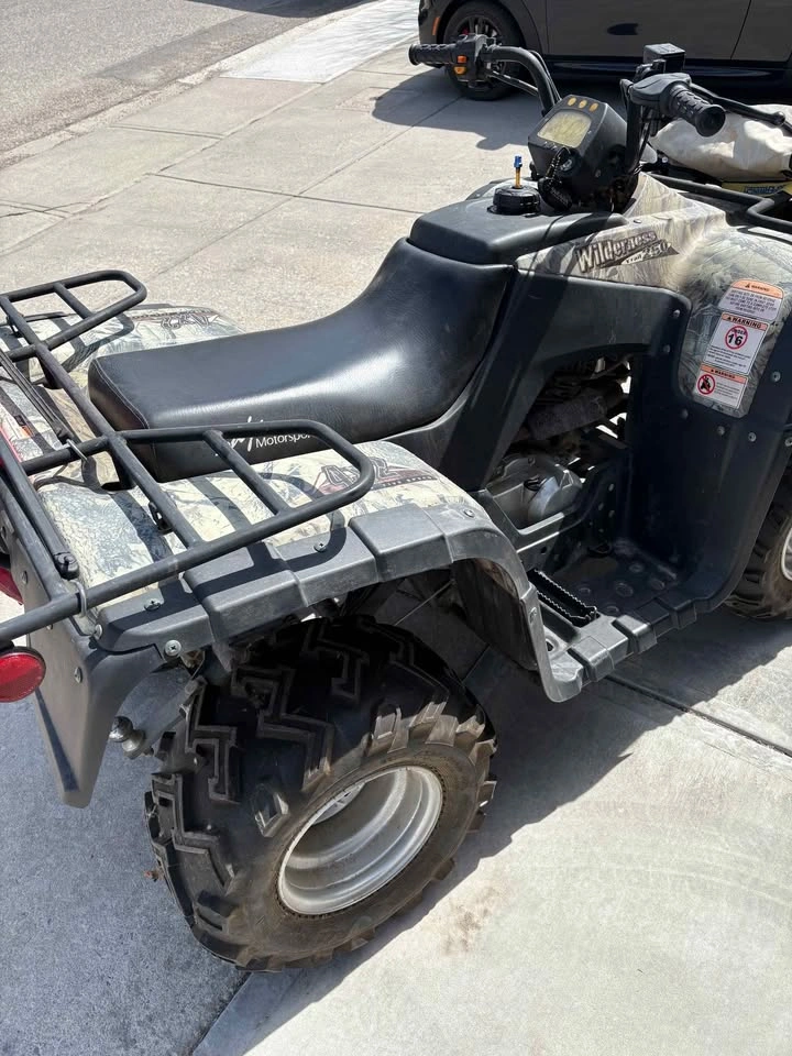 2007 Baja Wilderness 250 4x2 ATV - photo 2