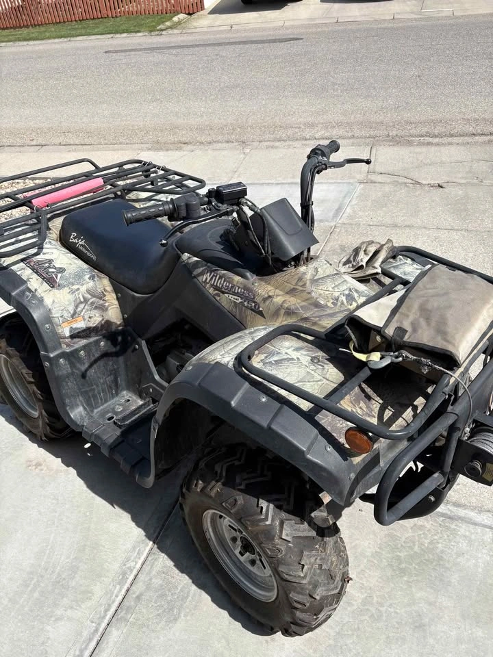 2007 Baja Wilderness 250 4x2 ATV - photo 3