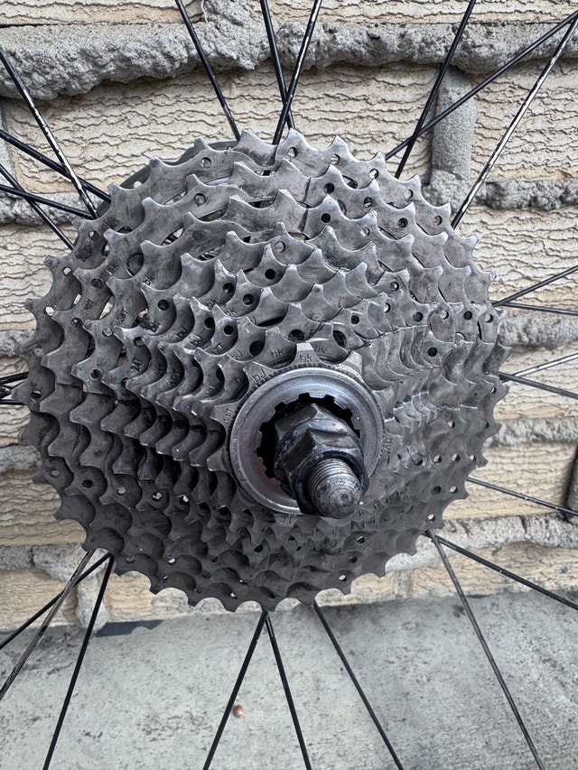 Marin 29-inch Wheelset with Disc Brake and Shimano Cassette - photo 3