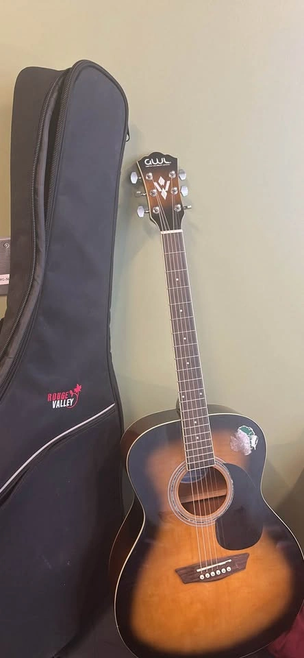 Guitar, Case, Capo - photo 2
