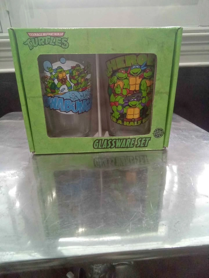 Teenage Mutant Ninja Turtles 16oz Glassware Set of 2