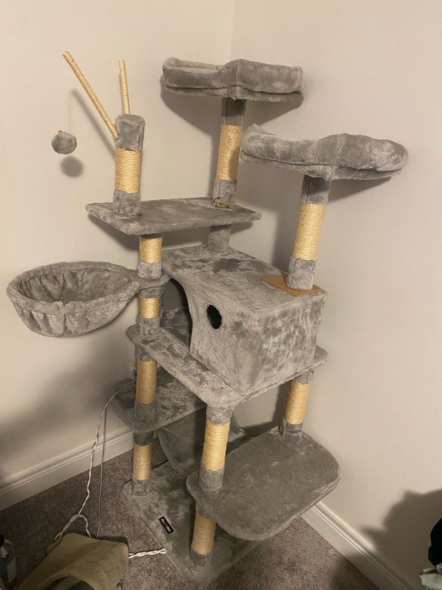 Cat Tree House