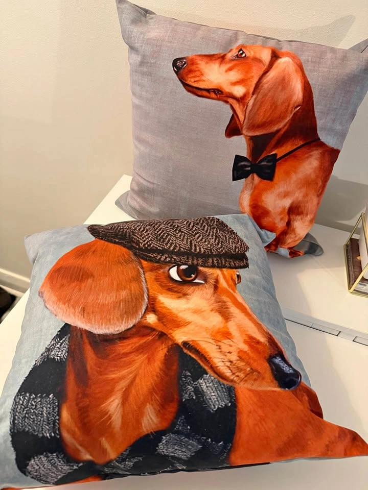 2 X Dachshund Pillows