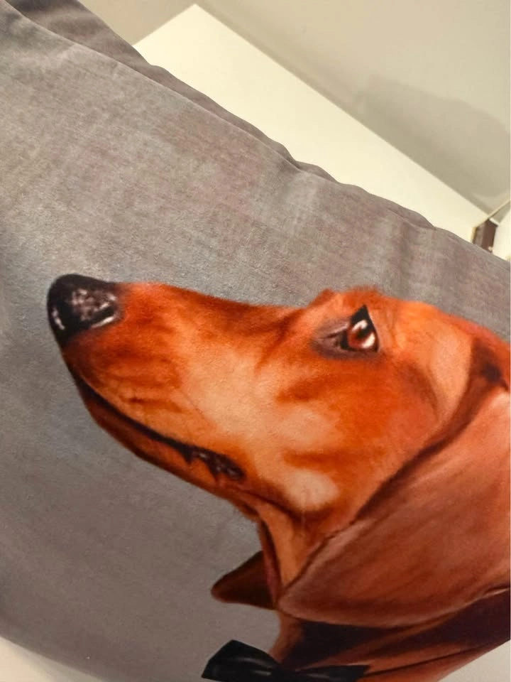 2 X Dachshund Pillows - photo 3