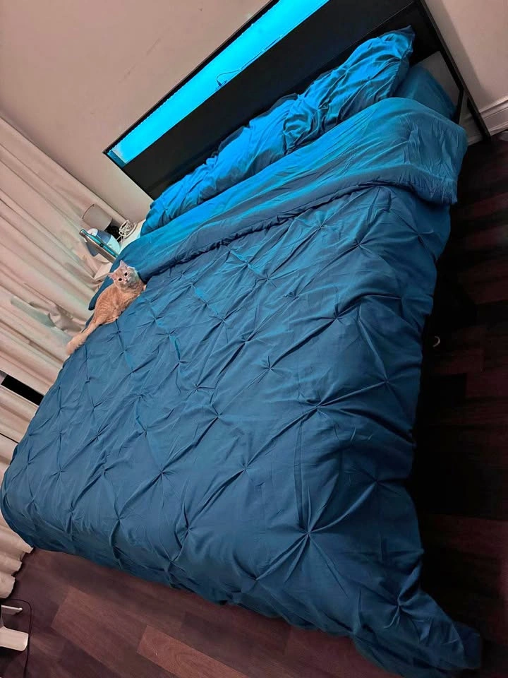 King Size Mattress, Bed Frame, Sheets, Pillow Covers & Blanket