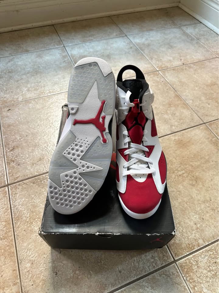 Jordan Retro 6 Carmine DS - photo 3