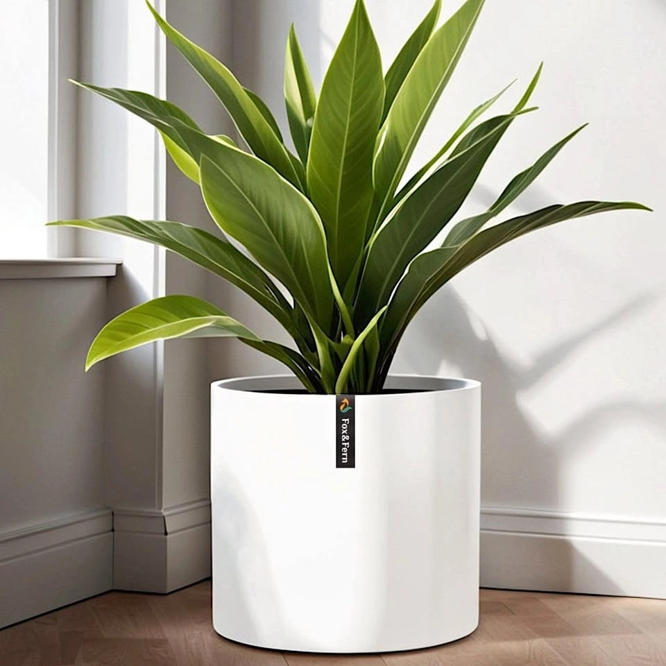 Unopened Fox & Fern Flower Pot